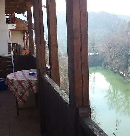 The View